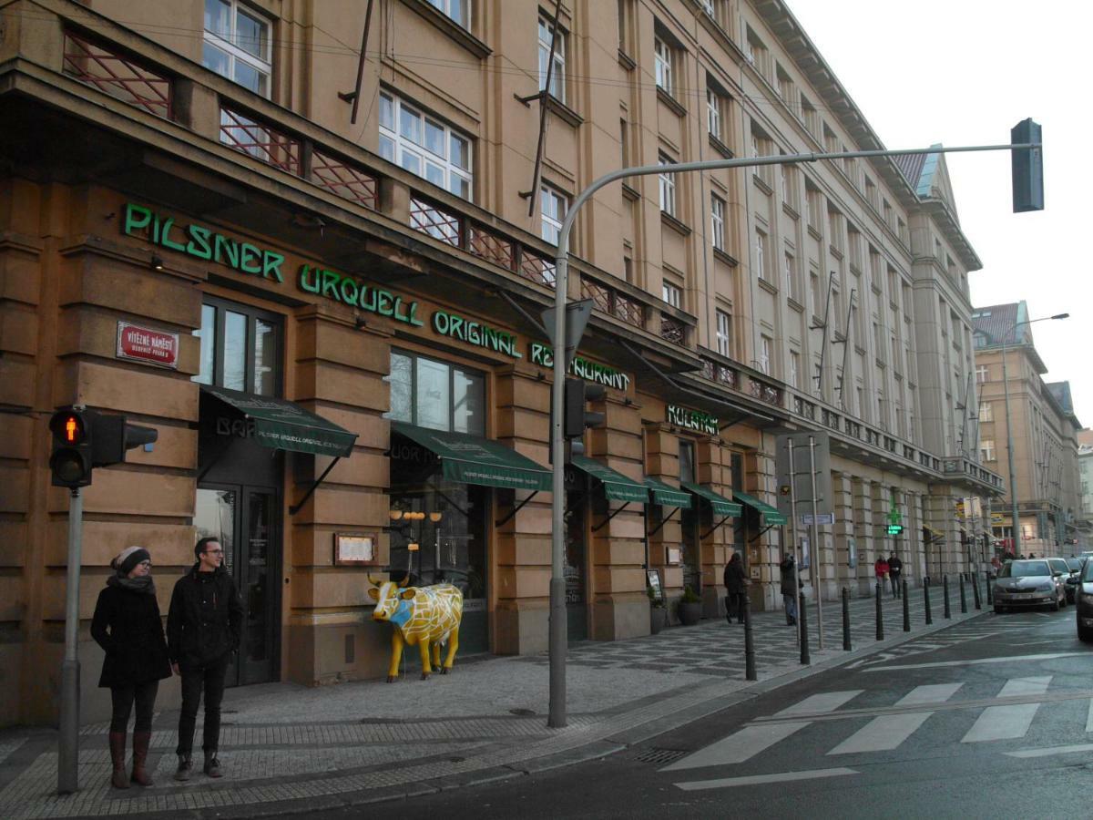 Studio Dana Praga
